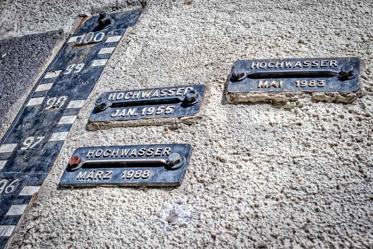 The Influence of Jules' Background