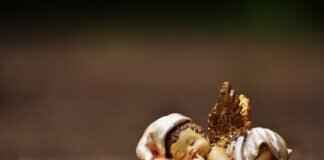 How to Become a Professional Guardian ad Litem in California How to Become a Professional Guardian ad Litem in California