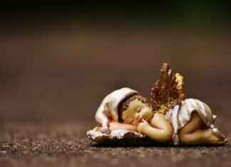 How to Become a Professional Guardian ad Litem in California How to Become a Professional Guardian ad Litem in California