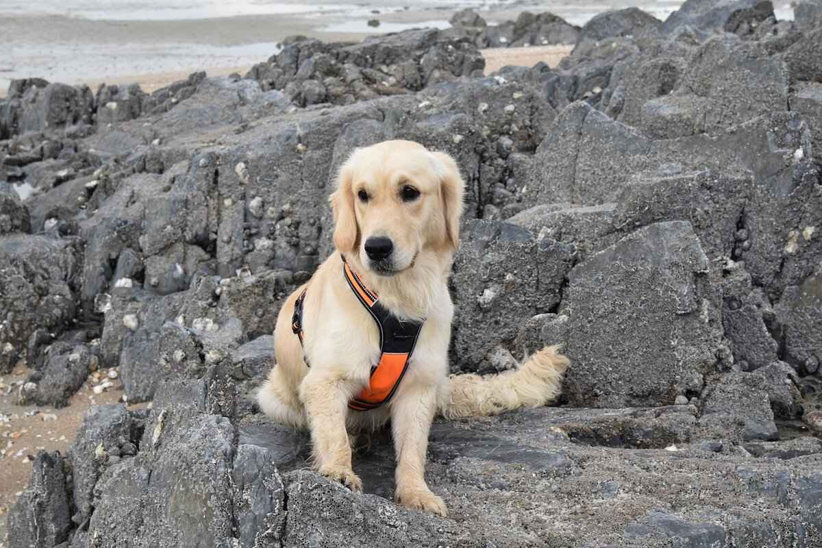 Handling Difficult Customers