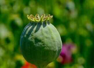 How to Build a Capsule Wardrobe with Versatile Slip Dresses How to Build a Capsule Wardrobe with Versatile Slip Dresses