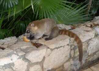 How to Cancel Your Huma Subscription Without Hassle How to Cancel Your Huma Subscription Without Hassle