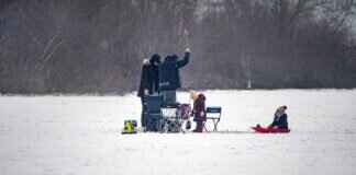 How to Catch Sheepshead Fish Like a Pro How to Catch Sheepshead Fish Like a Pro