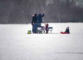 How to Catch Sheepshead Fish Like a Pro How to Catch Sheepshead Fish Like a Pro