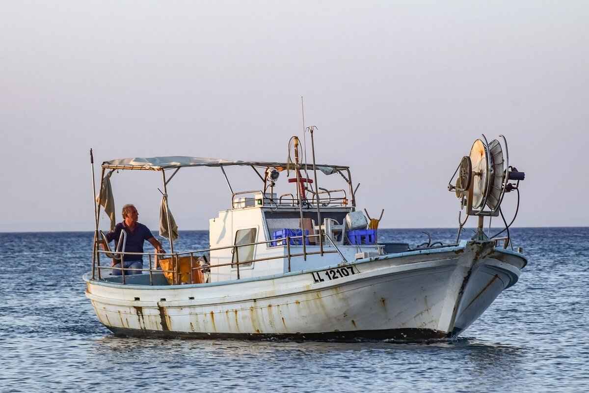 Effective Fishing Techniques for Sheepshead