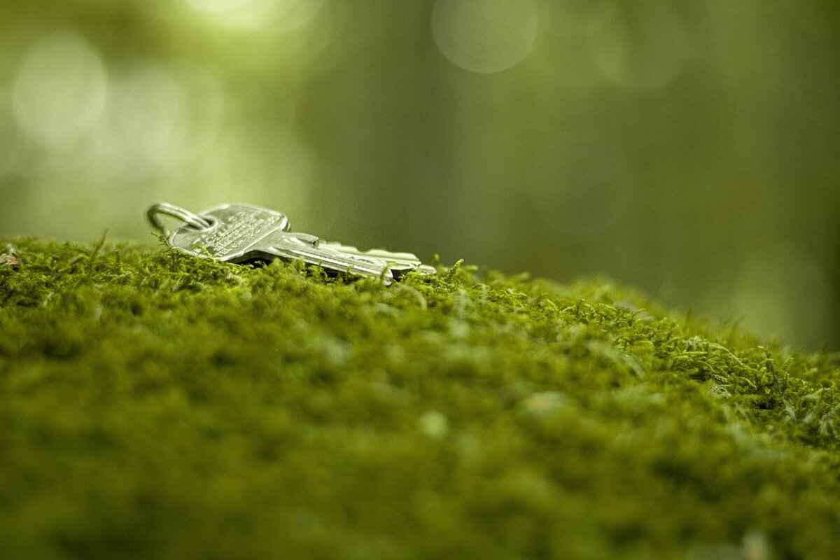 How to Change a Battery in a VW Key Fob: DIY Guide 9 Maintaining Your VW Key Fob