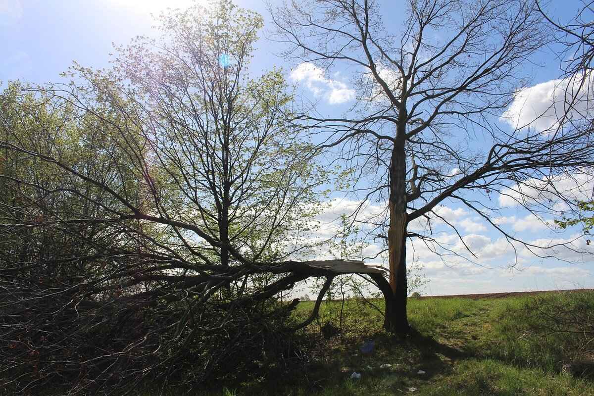 How to Change Back to Your Maiden Name After Divorce 6 Common Mistakes to Avoid When Changing Your Name