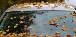 How to Change Windshield Wipers Like a Pro in Minutes How to Change Windshield Wipers Like a Pro in Minutes