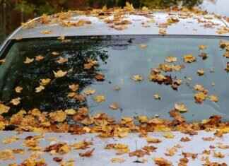 How to Change Windshield Wipers Like a Pro in Minutes How to Change Windshield Wipers Like a Pro in Minutes