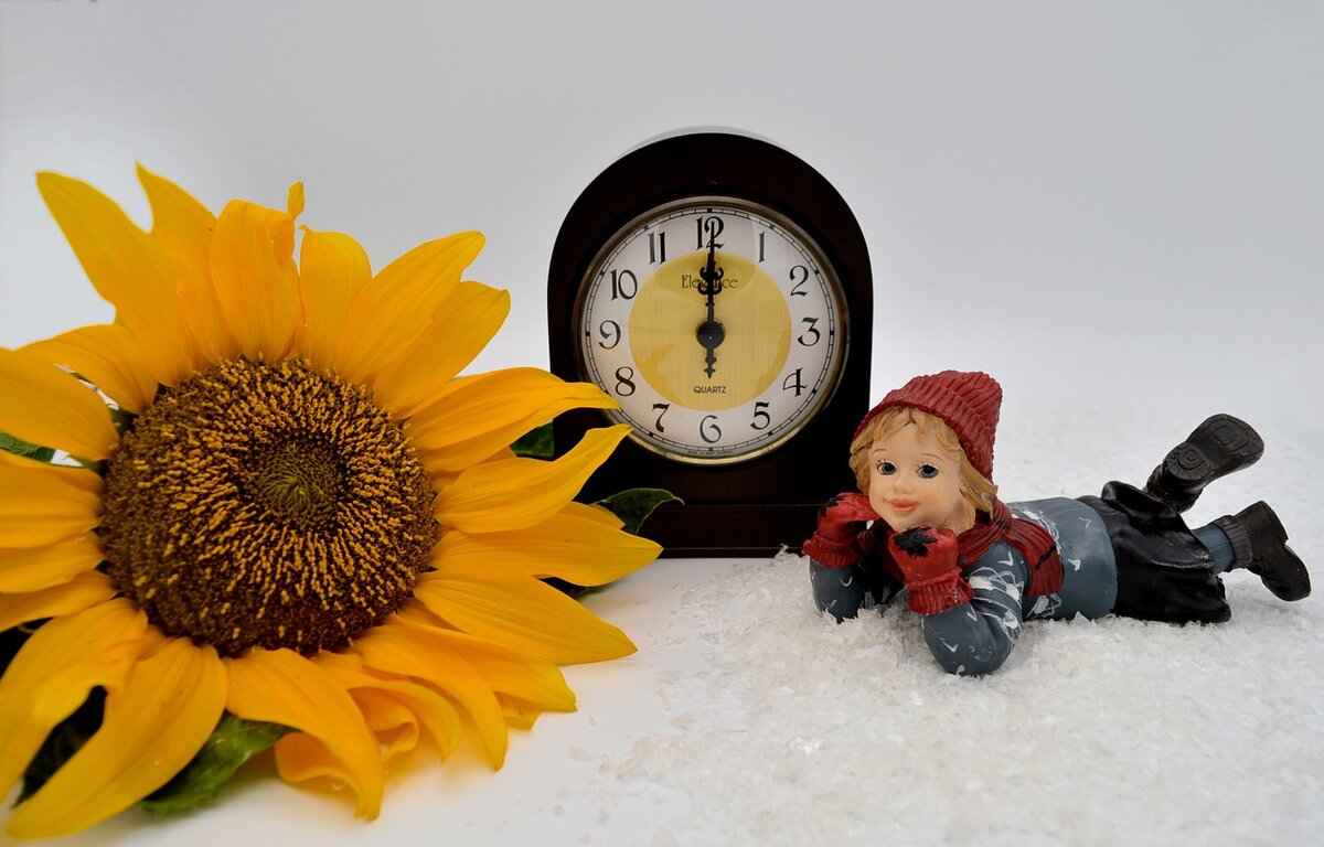 Understanding the Legal Requirements