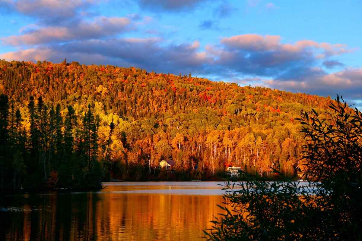 Informing Financial Institutions