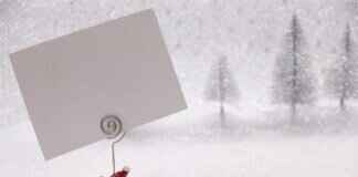 How to Check Your Ration Card Status Online in West Bengal How to Check Your Ration Card Status Online in West Bengal