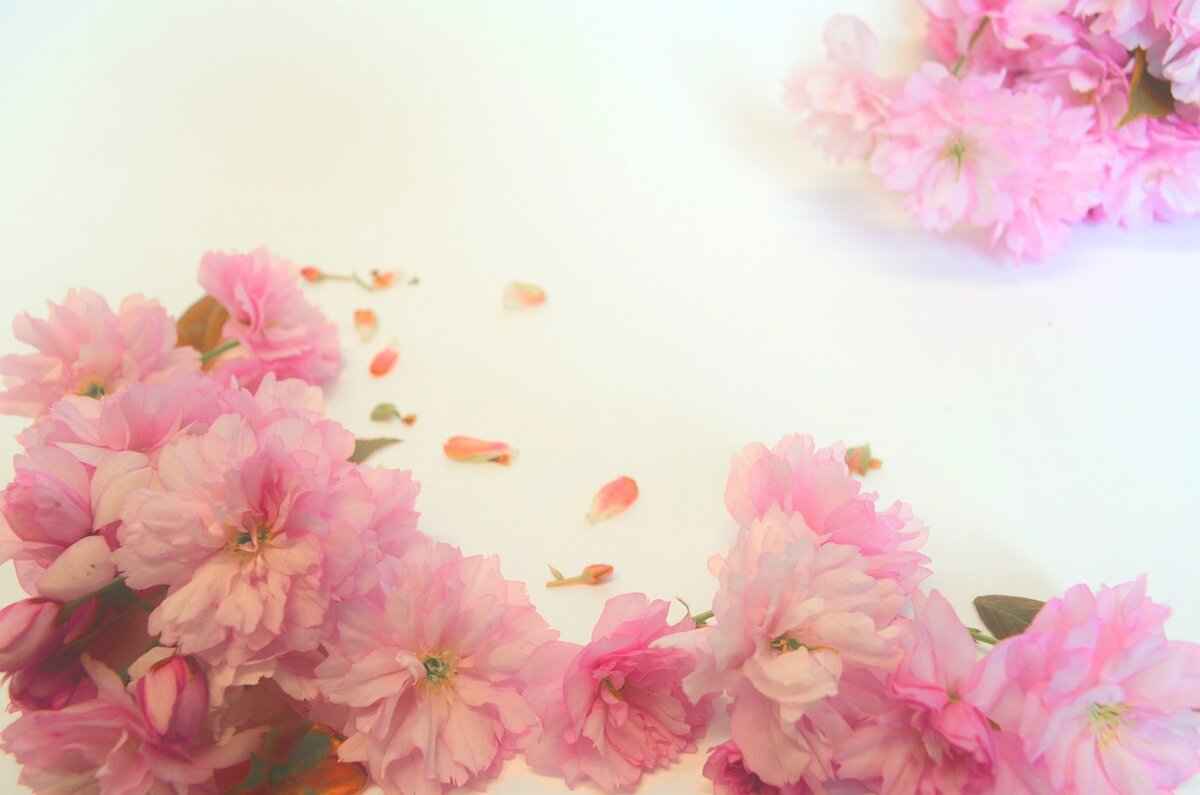 Benefits of Online Ration Card Status Checking