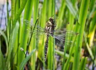 How to Choose a Slip Dress That Flatters Your Skin Tone How to Choose a Slip Dress That Flatters Your Skin Tone