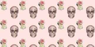 How to Clean a Skull for Display: A Step-by-Step Guide How to Clean a Skull for Display: A Step-by-Step Guide