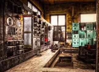 How to Clean a Vacant Apartment of Pests: A Complete Solution How to Clean a Vacant Apartment of Pests: A Complete Solution