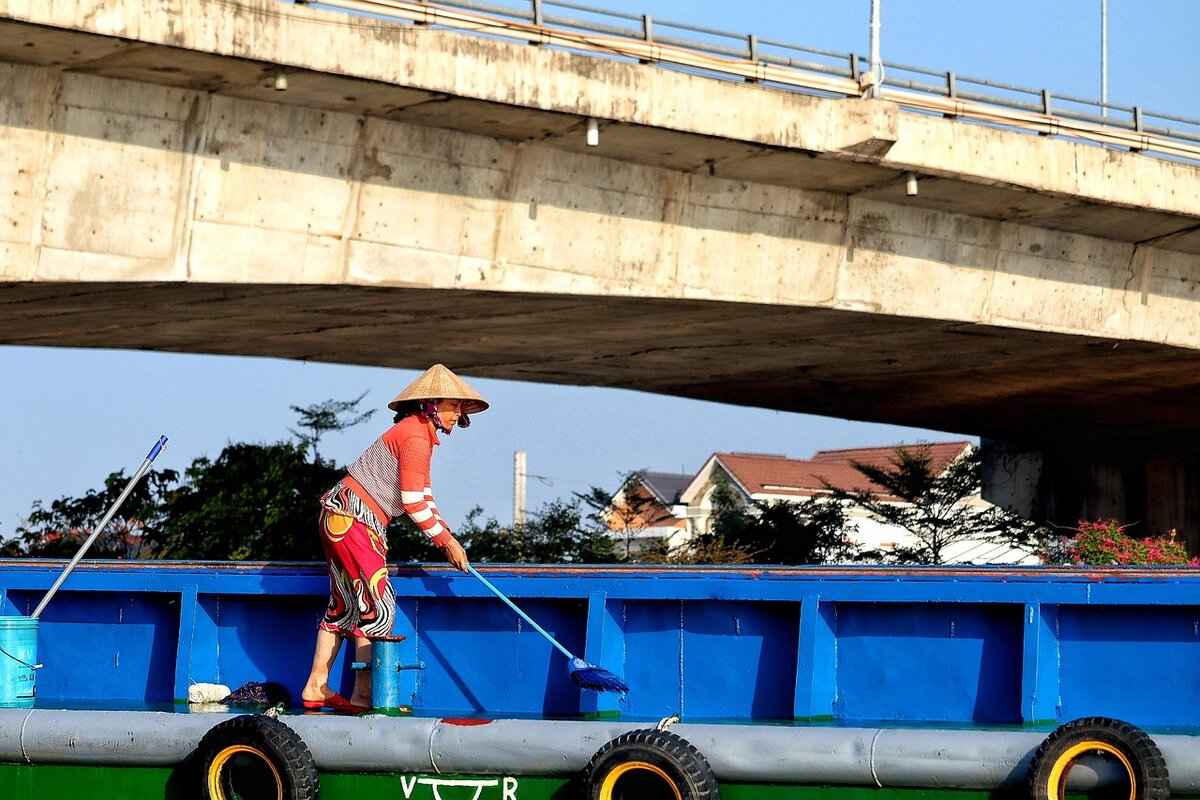 How to Clean Artificial Grass Leaves Without Damaging Them 3 Tools Needed for Cleaning Artificial Grass