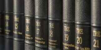 How to Clean Moldy Leather and Prevent Future Growth How to Clean Moldy Leather and Prevent Future Growth