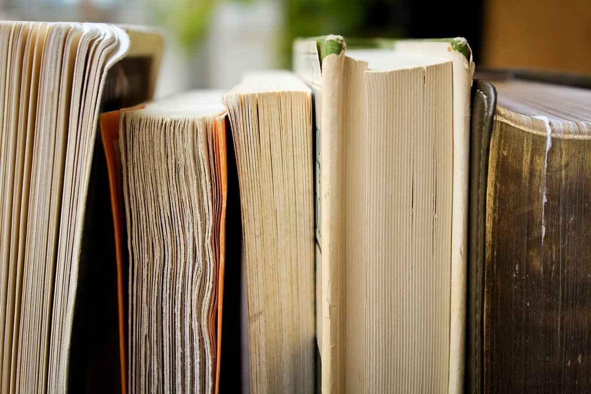 Understanding Mold on Leather