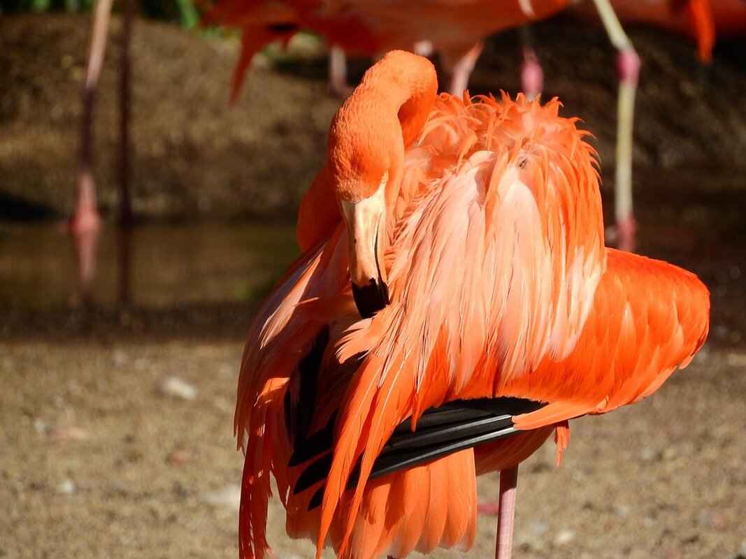 How to Cleanse Selenite Without Damaging Its Structure 3 Common Mistakes When Cleansing Selenite