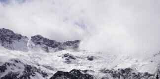 How to Cold Call Clinics for Shadowing Opportunities How to Cold Call Clinics for Shadowing Opportunities