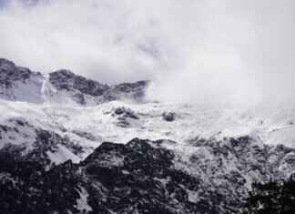 How to Cold Call Clinics for Shadowing Opportunities How to Cold Call Clinics for Shadowing Opportunities