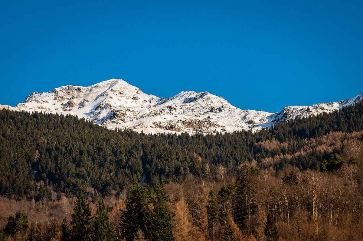 How to Cold Call Clinics for Shadowing Opportunities 6 Overcoming Common Objections