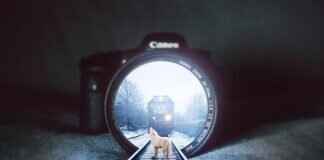 How to Color Grade Action Camera Footage for a Cinematic Look How to Color Grade Action Camera Footage for a Cinematic Look