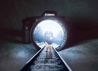 How to Color Grade Action Camera Footage for a Cinematic Look How to Color Grade Action Camera Footage for a Cinematic Look