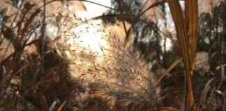 How to Connect a VU Meter to a Recorder Easily How to Connect a VU Meter to a Recorder Easily