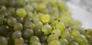 How to Control the Concentration of Sulfuric Acid Safely How to Control the Concentration of Sulfuric Acid Safely