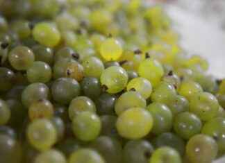 How to Control the Concentration of Sulfuric Acid Safely How to Control the Concentration of Sulfuric Acid Safely