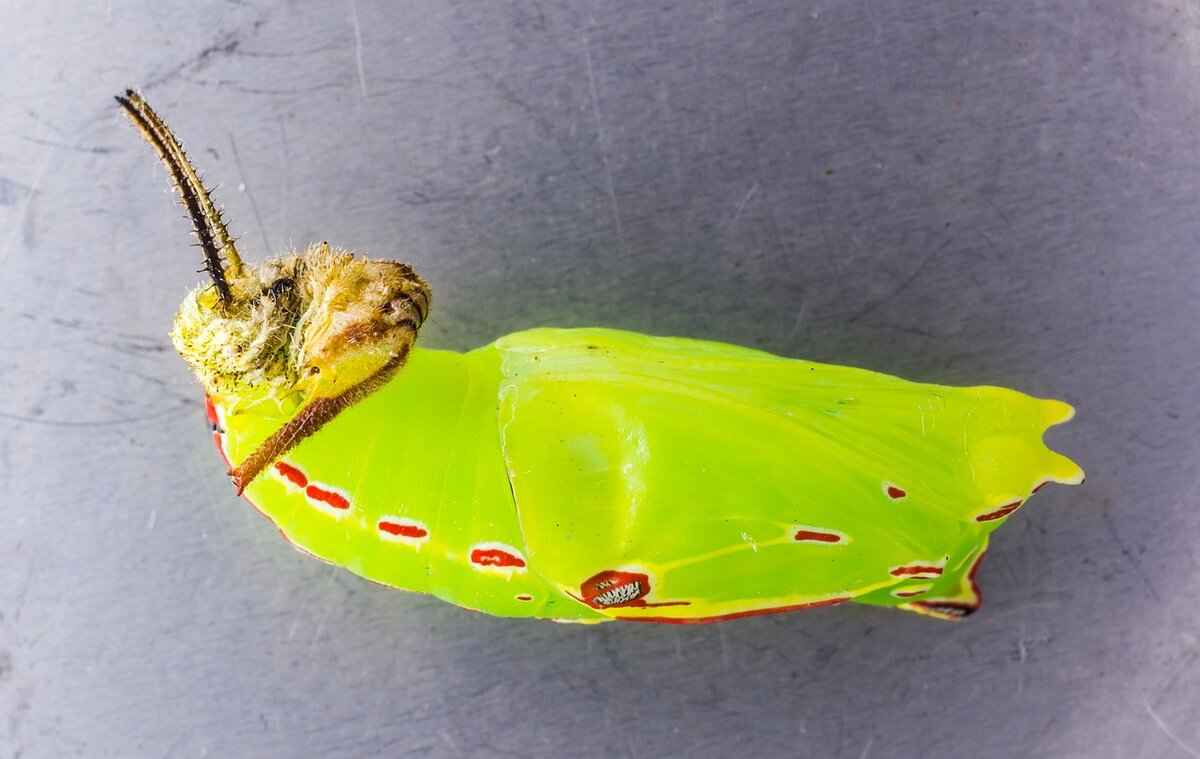 How to Create a Bootloader for gem5 Simulation 6 Debugging Common Bootloader Issues