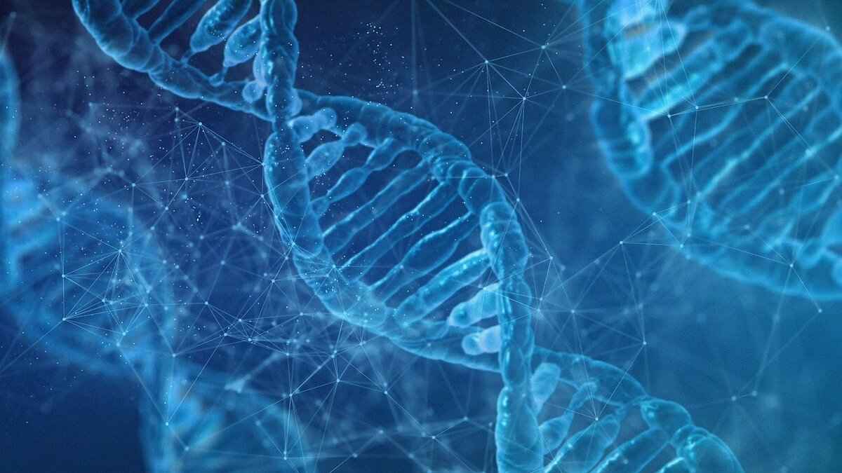 How to Create Part A and Part B in DNA Inspire 8 Best Practices for Using DNA Inspire