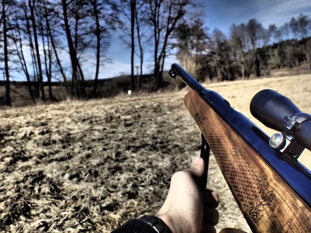 How to Date an M1A Stock and Identify Its History 2 Key Features of M1A Stocks