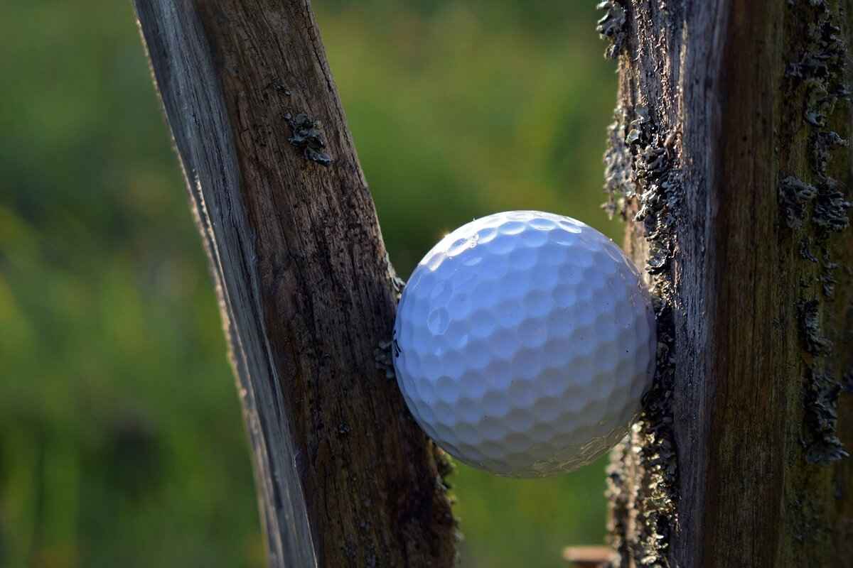 How to Delete a Round on GHIN Handicap System 2 Why Would You Want to Delete a Round?