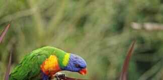 How to Dispute Errors in Utility Bills? How to Dispute Errors in Utility Bills?