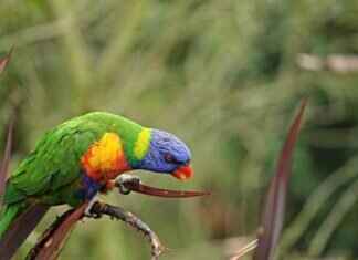 How to Dispute Errors in Utility Bills? How to Dispute Errors in Utility Bills?