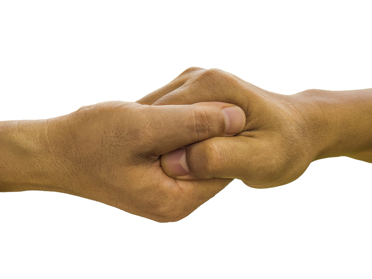 Termination Clauses