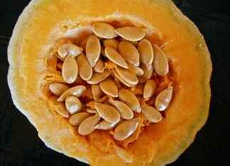 How to Drink Chia Seeds: Simple and Effective Hydration Tips How to Drink Chia Seeds: Simple and Effective Hydration Tips