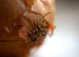 How to Eat a Balanced Vegetarian Diet with Asian Foods How to Eat a Balanced Vegetarian Diet with Asian Foods