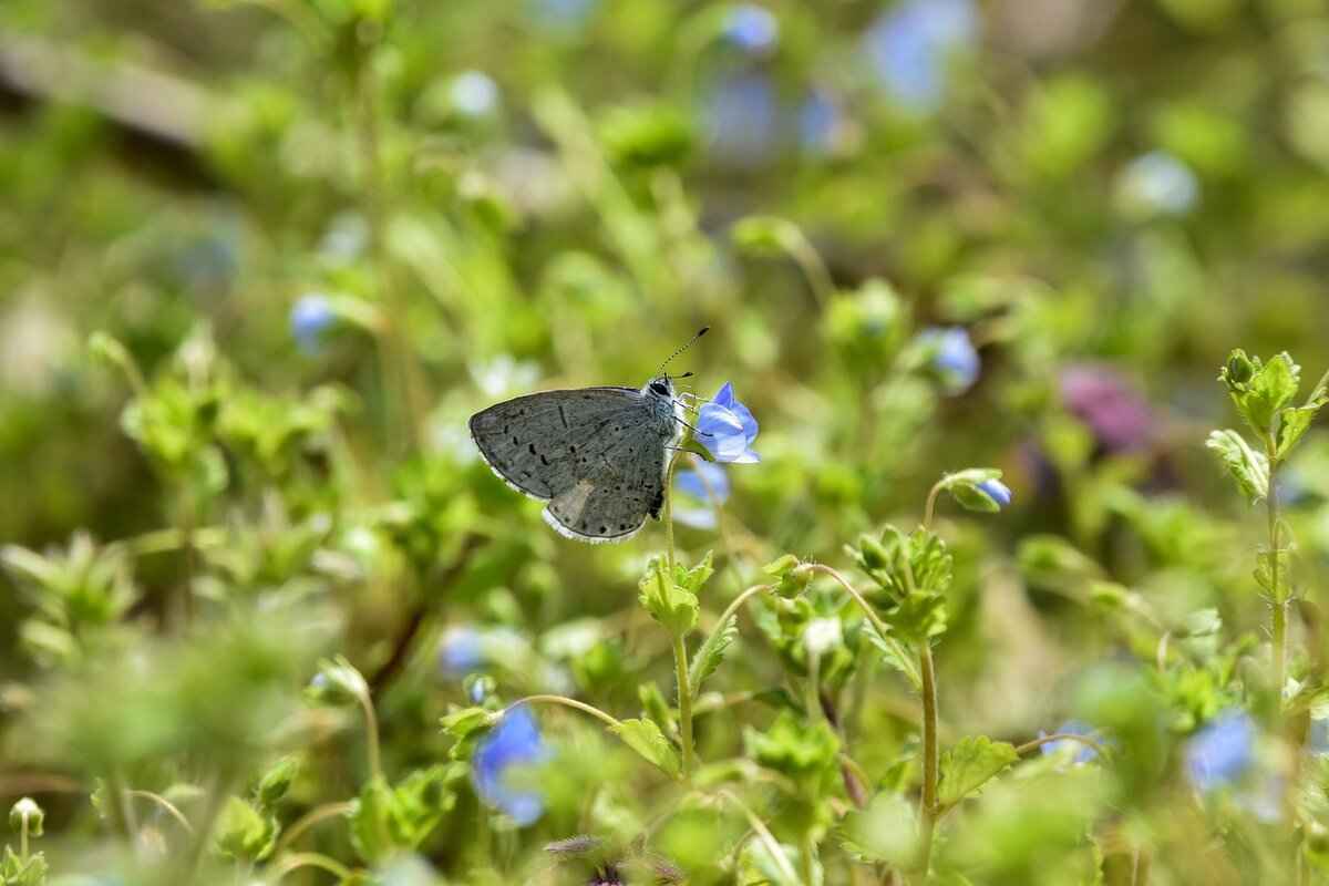 Tools Required for Expanding Holes with Silicone