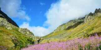 How to Export .DDS Files as DXT5 Format How to Export .DDS Files as DXT5 Format