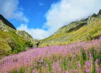 How to Export .DDS Files as DXT5 Format How to Export .DDS Files as DXT5 Format