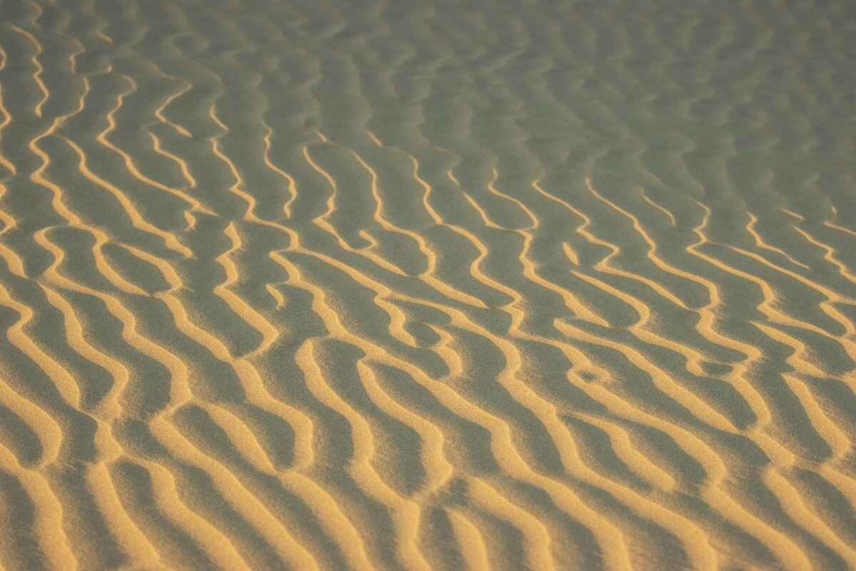 How to Export .DDS Files as DXT5 Format 8 Future Trends in Texture Compression