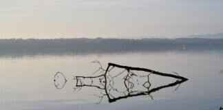 How to File a Complaint? How to File a Complaint?