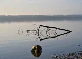 How to File a Complaint? How to File a Complaint?