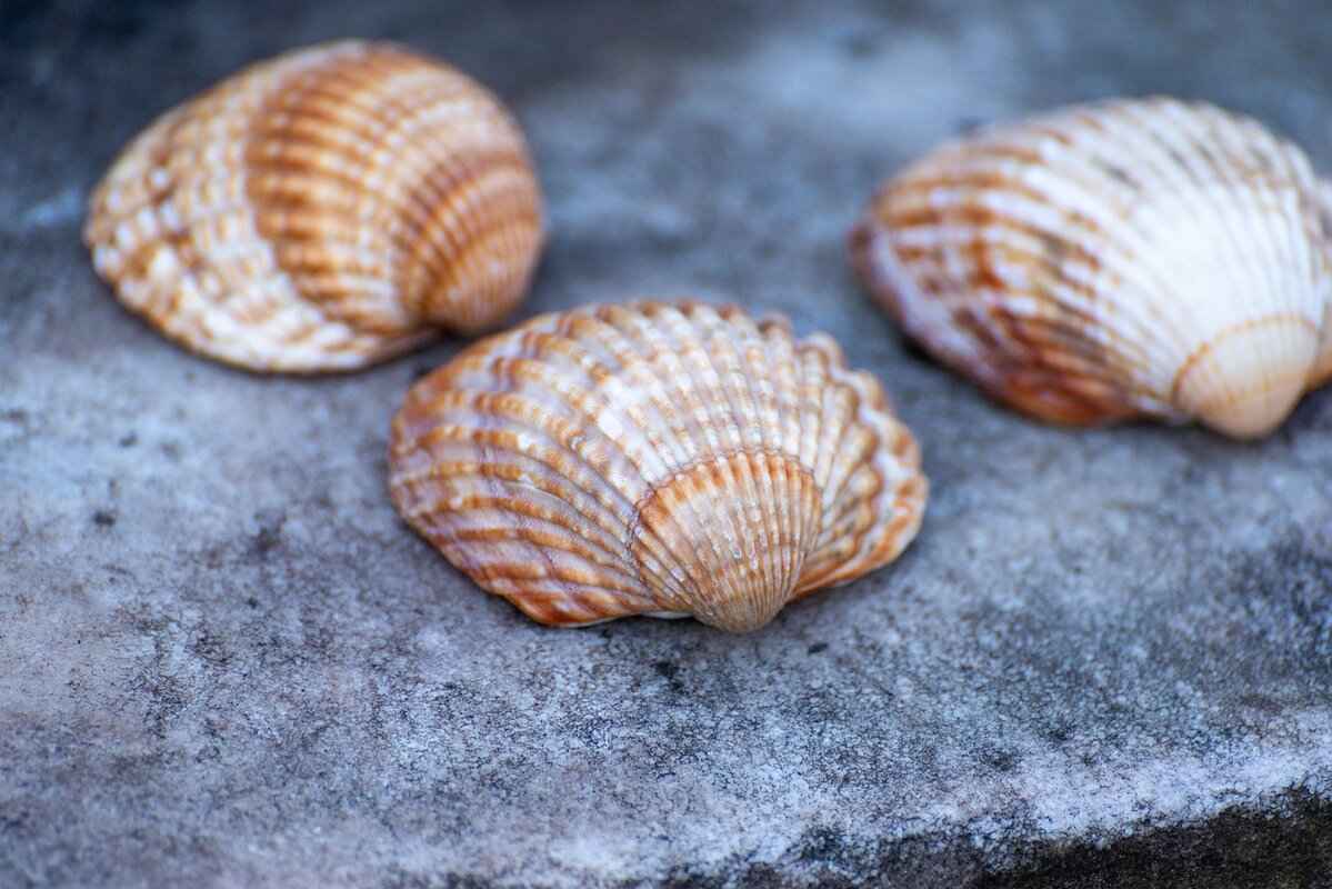 Understanding Debt Collection Lawsuits