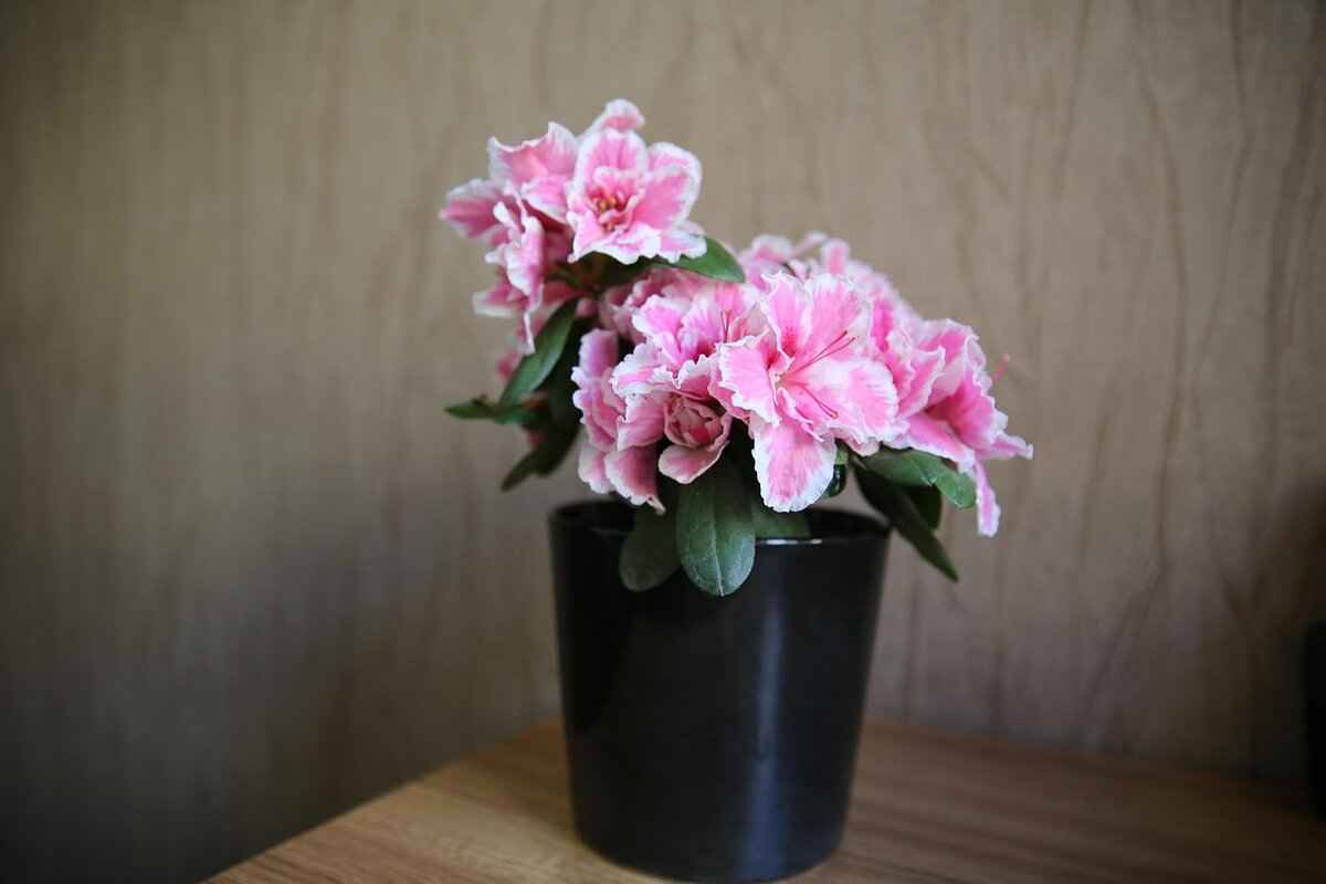 How to File a Paternity Lawsuit? 5 Consequences of Establishing Paternity