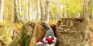 How to File for Alimony Increase? How to File for Alimony Increase?